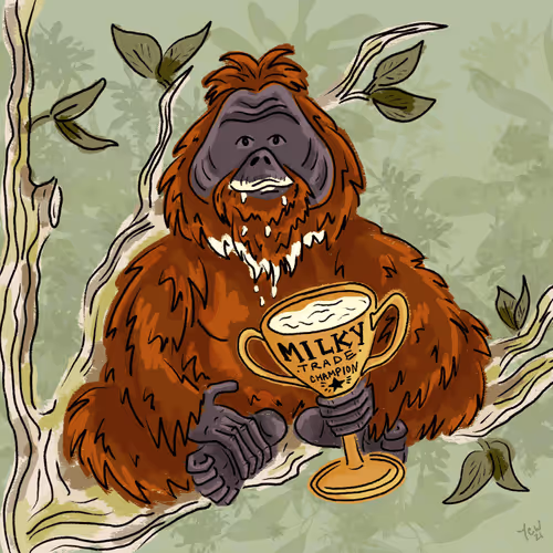 Bitfuturez Collection