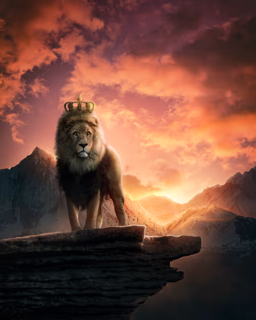 Item #106988062429929372675833834108051150195153636584817823885000792319462280790017 Media