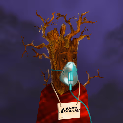 Item #38969088093190670381878411557565580659447067316565611691845277182621929963521 Media