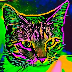 50830097462543580601473563981388698009005024090223633461481089764562646859777