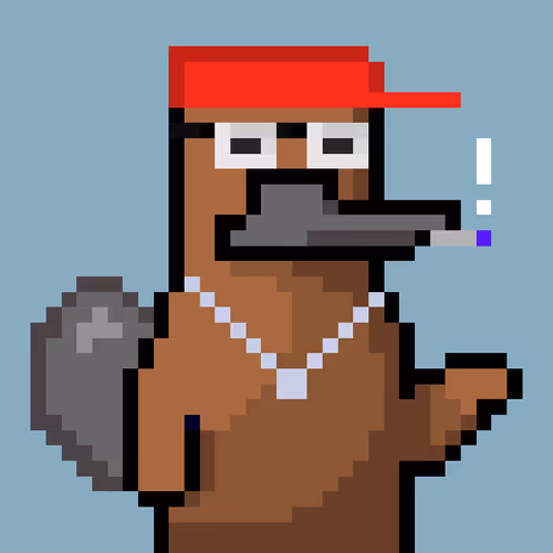 Platy Punk #527