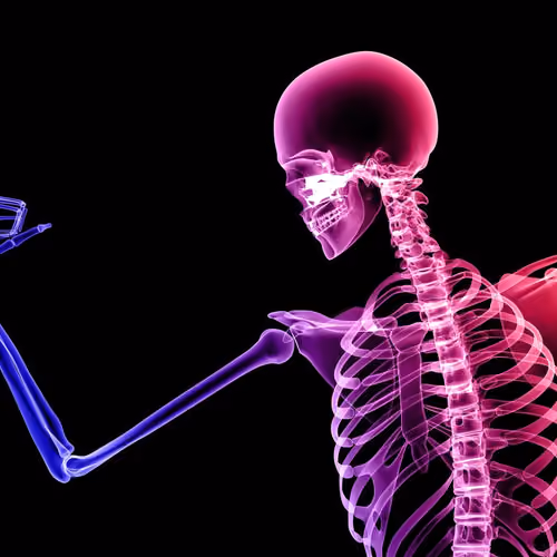 Bones