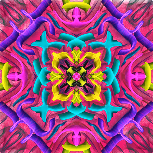 Special Collection By Lk