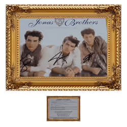 #005 The Jonas Brothers