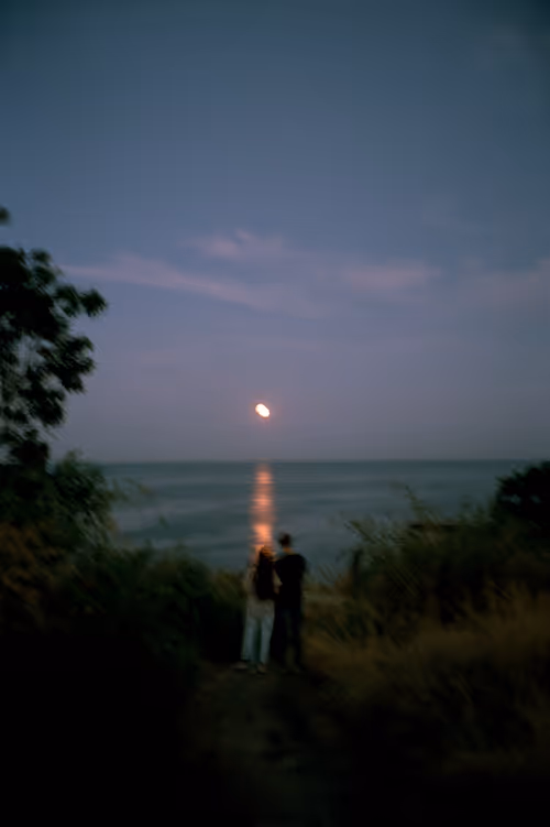 Item #98005874063086952784788628439197826676066382464840560618238063437446545145857 Media