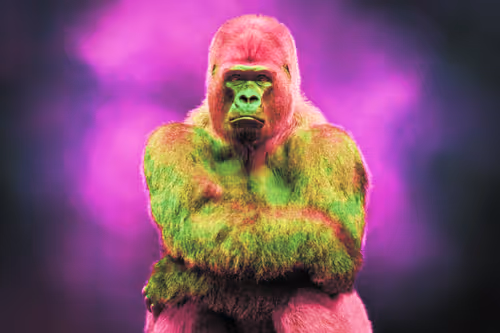 Item #37771705042607633984215485442696248406020579018981637919666644993617818550273 Media