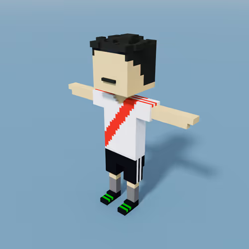 Sportvoxels