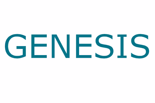 genesis by smoltunes collection