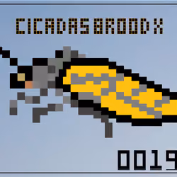 Cicadas Brood X (2021) #198