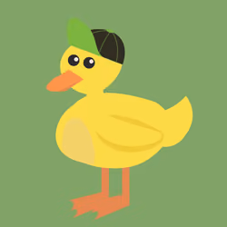 Green Black Snapback Duck