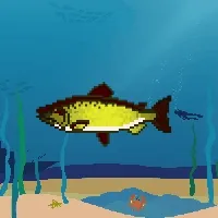 Etherfishing