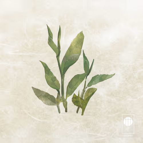 Item #81539958787540876146719752075343173893634158371469484099127509112068897767425 Media