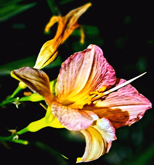 Item #48940607901015920857645731897372501433475151801314918202726248081182831935489 Media