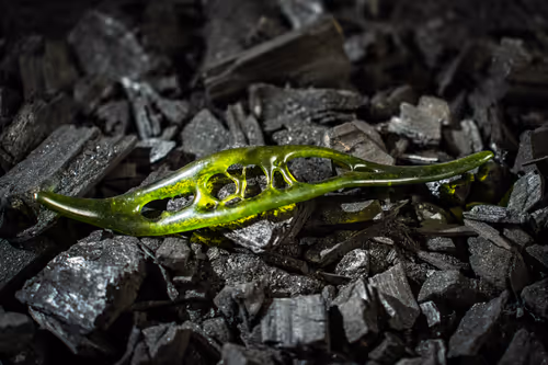 Item #13800958519219812391600490804879685410655097150635190822712511115200651329537 Media