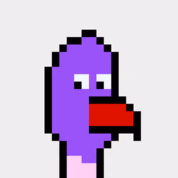 BitBird 538