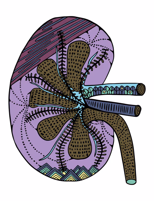 Item #28824502245252267217549902857601847351510039266873569823091148309662969888769 Media