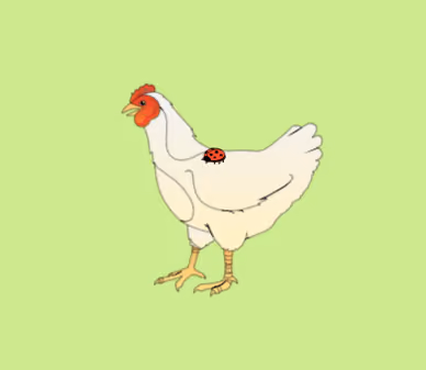 Item #12960596313053816927433507511516050373119833771321500859976379586227636011009 Media