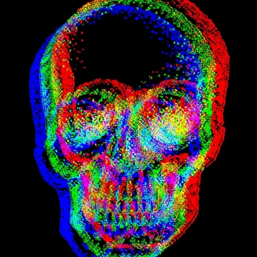 BrooklynBrain Collection