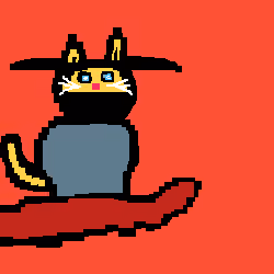 Zorro Cat