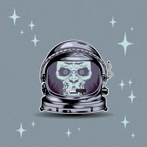 Item #632864086397063025287332343549901097322464648410560722840199343000556404737 Media