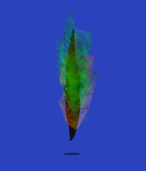 Item #57980548300223101768143358770330500592017571916731094509664499249625304137729 Media