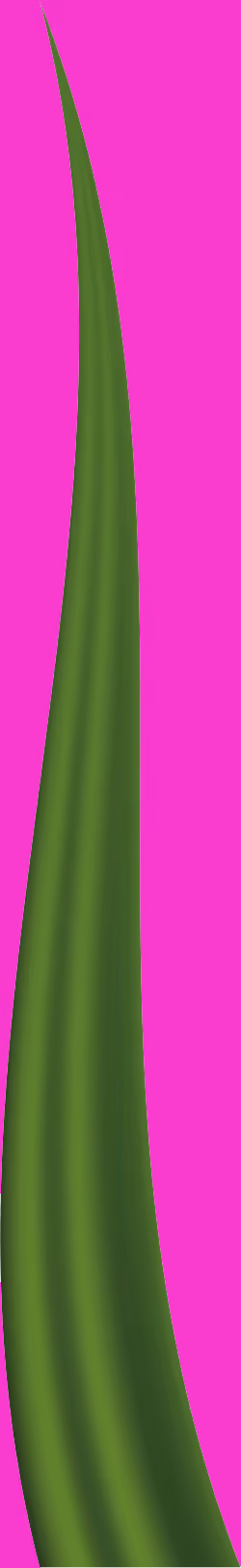 Item #78763235517899702300642317908544281341520076745003203023483945997206751805441 Media