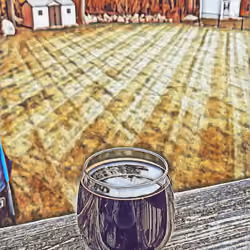 #46 Gold Backyard Beer