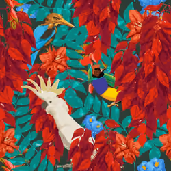 Parrot King rule the jungle 