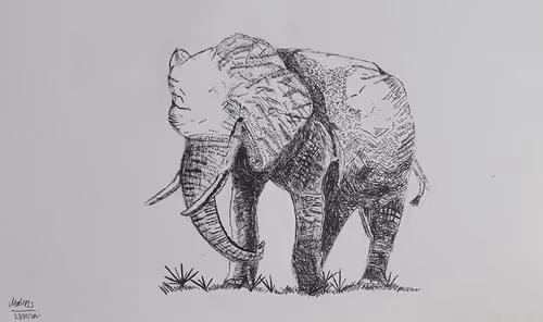 Item #95833954535133562072786107475819470551116640202638618101149855637025534771210 Media