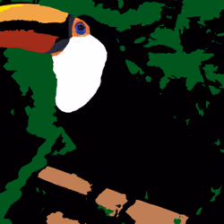 Toucan 