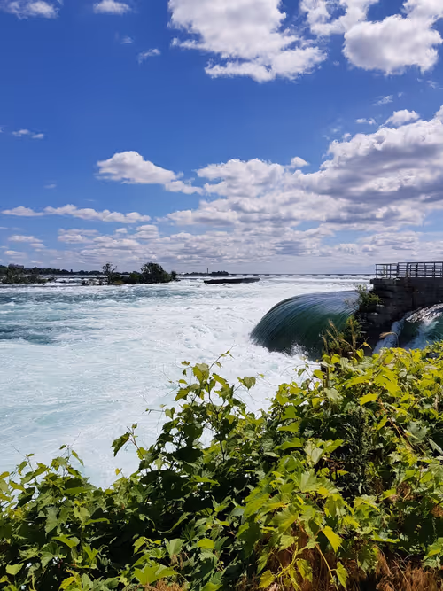 Item #20398726912547406339970687891835182810511091541282257052992388687774422663169 Media