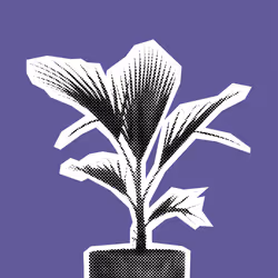 25379124807980713745219244606437574046087384809022650852355167129113097928705