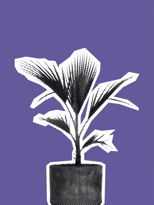 Item #25379124807980713745219244606437574046087384809022650852355167129113097928705 Media