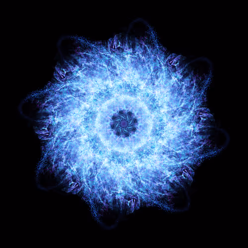 Dolphin_NFT Collection V2 - old