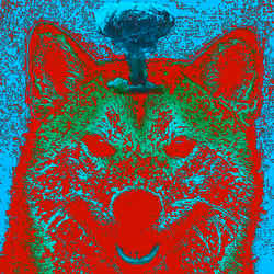 SHIBA UNITED #007