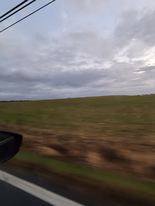 Item #61051240571971779841838649405693456424568018504308900476674196456357677236225 Media