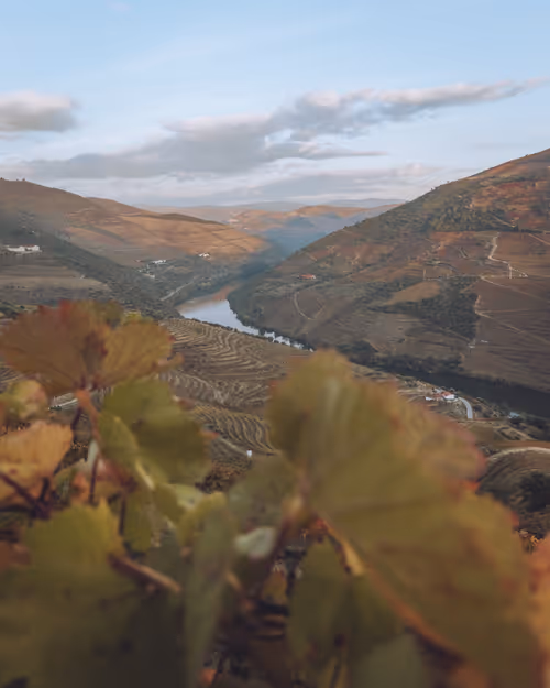 Item #114559856013450229325129635961549851871246812358210188348800658794331448016897 Media