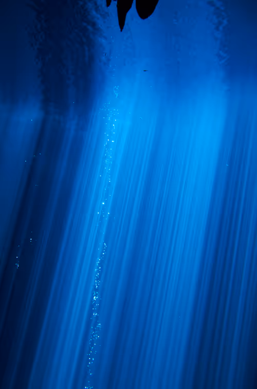 Item #25422583313571458459737529461820134862175223810011730482418987910149374476289 Media