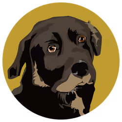 54766349128176429303044182404049584425310907481653304317570413897946983563265