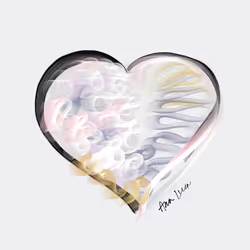 9474611545894584964435841342945166491517591874394890721650365157766001065985