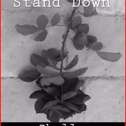Mission: Stand Down