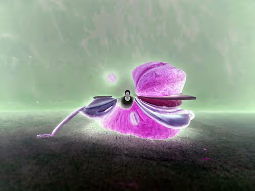 Item #67457553150443021914092587022250176347061355639032054621716076031134910119937 Media