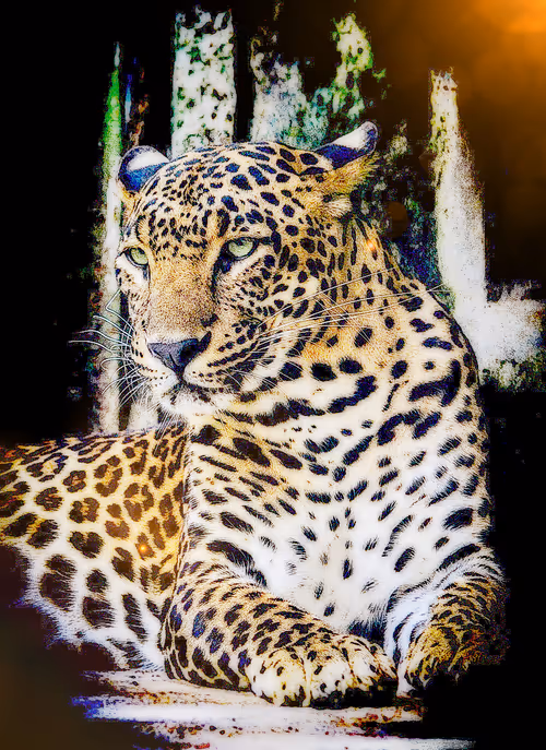 Item #112706814490930413132795555787302569515543672113453404084317514443614188470273 Media