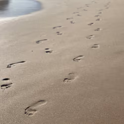 #8 "The art of walking"