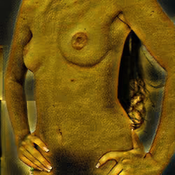 Artistic Nudity -  Over the Sholder