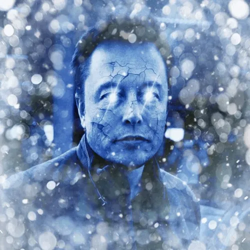 Frozen #25 Elon Musk