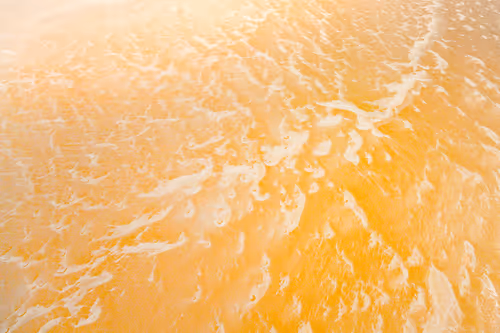 Item #30006959311443185004214998221159267460305523882483660266177696127288501862401 Media