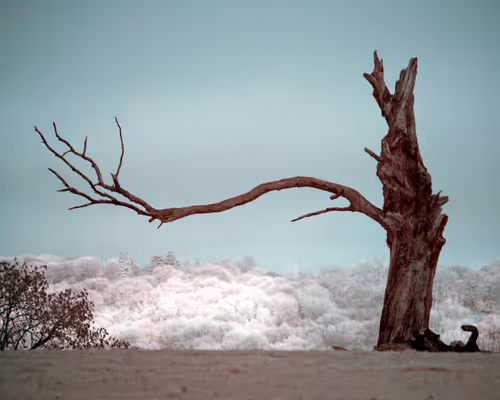 Item #105424874580272350249353180101820695324338341917620358577696675015734144794625 Media