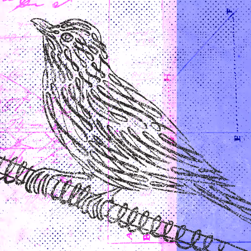 Item #12520096913277121545232673772747947087596815365110293900319642929286254428161 Media