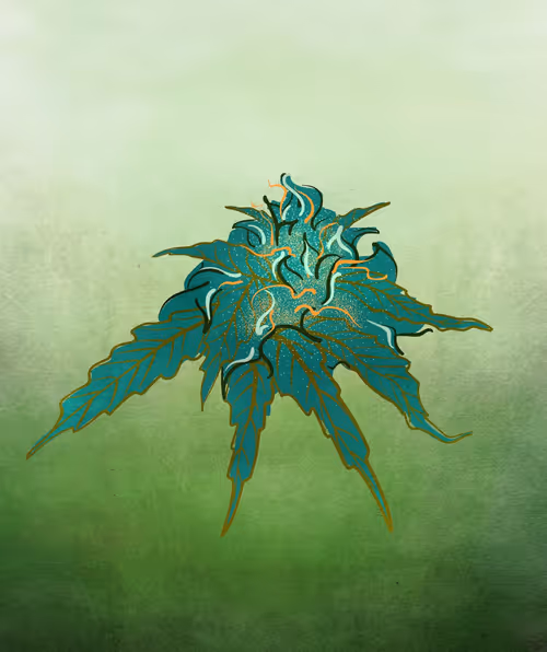 Item #88173920956366532206384104525204378846175092179682069740847406076034306539521 Media